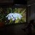 Garden Shed Video Installation with Brit Bunkley