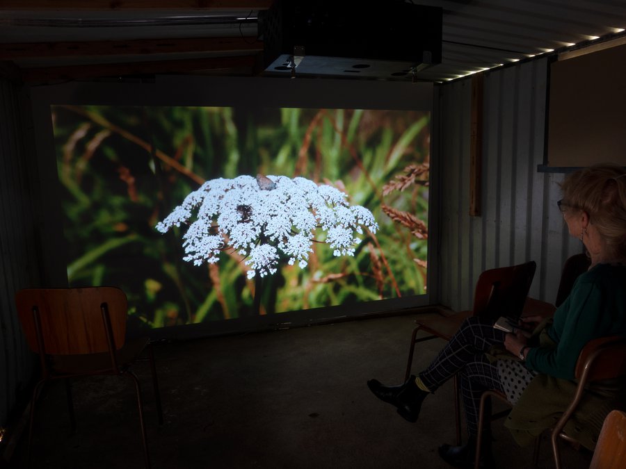 Garden Shed Video Installation with Brit Bunkley