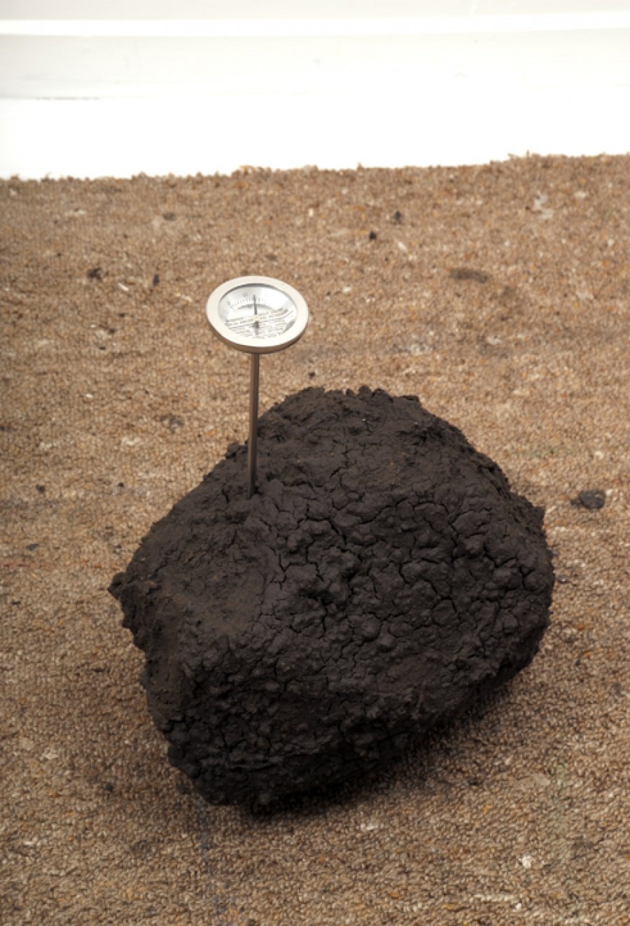 Soil with Planting Thermometer