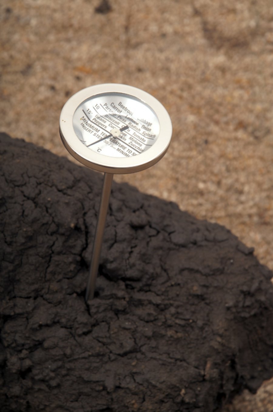 Soil with Planting Thermometer detail